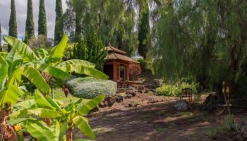 358  Holopuni Rd Kula Glen, Kula/Ulupalakua/Kanaio home - photo 3 of 50