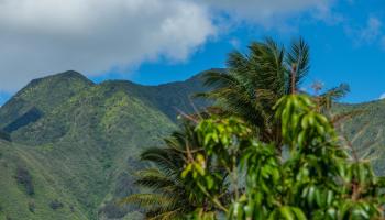 36  Kaikai St Waikapu Gardens, Wailuku home - photo 5 of 48