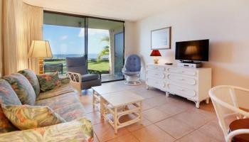 Kihei Beach condo # 109, Kihei, Hawaii - photo 4 of 23