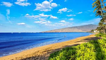 Kihei Beach condo # 410, Kihei, Hawaii - photo 6 of 41