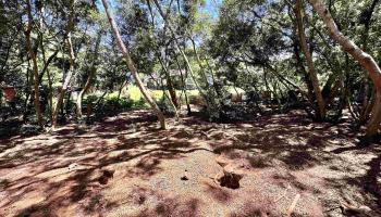 36 Koala Way  Hoolehua, Hi vacant land for sale - photo 3 of 9