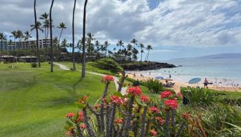 Wailea Elua II condo # 2010, Kihei, Hawaii - photo 2 of 50