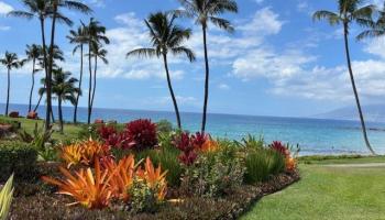 Wailea Elua II condo # 2010, Kihei, Hawaii - photo 3 of 50