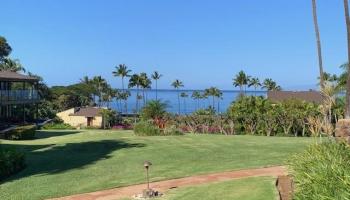 Wailea Elua II condo # 2201, Kihei, Hawaii - photo 4 of 50