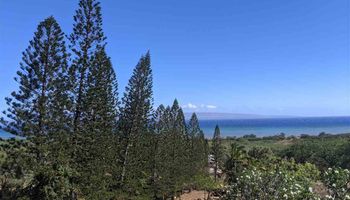 361 Onioni Dr , Molokai home - photo 4 of 6 361 Onioni Dr , Molokai home - photo 4 of 6