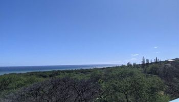 361 Onioni Dr , Molokai home - photo 5 of 6