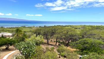 361  Onioni Dr , Molokai home - photo 2 of 35