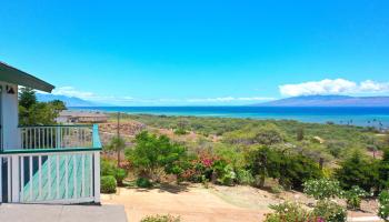 361  Onioni Dr , Molokai home - photo 4 of 35
