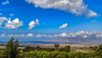 3610  Lower Kula Rd , Kula/Ulupalakua/Kanaio home - photo 3 of 13
