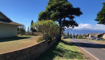 364  Haulani St Pukalani, Makawao/Olinda/Haliimaile home - photo 2 of 50