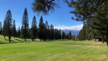 364  Haulani St Pukalani, Makawao/Olinda/Haliimaile home - photo 6 of 50