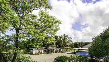 3651 Omaopio Rd Omaopio - Lower Kula, Kula/Ulupalakua/Kanaio home - photo 5 of 18