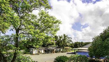 3651  Omaopio Rd Omaopio - Lower Kula, Kula/Ulupalakua/Kanaio home - photo 5 of 18