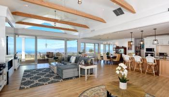 366  Huahua Pl Kula, Kula/Ulupalakua/Kanaio home - photo 3 of 31