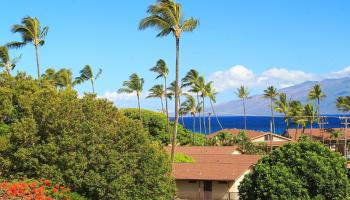 Honokowai East condo # 402, Lahaina, Hawaii - photo 3 of 25