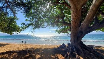 West Maui Trades condo # G101, Lahaina, Hawaii - photo 3 of 3