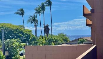West Maui Trades condo # D 306, Lahaina, Hawaii - photo 3 of 14