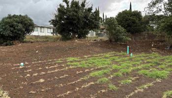 37 Alohi Pl B Makawao, Hi vacant land for sale - photo 2 of 4