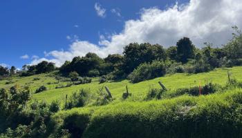 37 Middle Rd 2 Kula, Hi vacant land for sale - photo 4 of 19 37 Middle Rd 2 Kula, Hi vacant land for sale - photo 4 of 19