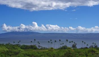 370  Onioni Dr , Molokai home - photo 3 of 49