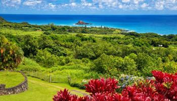 37 & 213  Kapia Rd , Hana home - photo 4 of 50