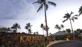 Kai Malu condo # 55B, Kihei, Hawaii - photo 2 of 30