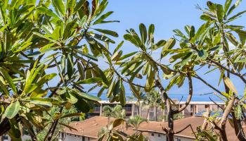 Maui Lani Terraces condo # C207, Lahaina, Hawaii - photo 4 of 23