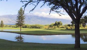 Hokulani Golf Villas condo # 44, Kihei, Hawaii - photo 2 of 4