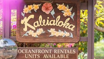 Kaleialoha condo # 101, Lahaina, Hawaii - photo 3 of 25