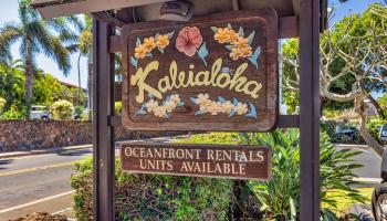 Kaleialoha condo # 103, Lahaina, Hawaii - photo 4 of 39