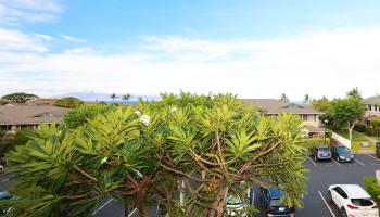 Napili Villas condo # 19-6, Lahaina, Hawaii - photo 2 of 33