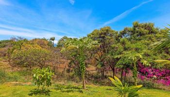 3808  Lower Honoapiilani Rd , Napili/Kahana/Honokowai home - photo 6 of 34