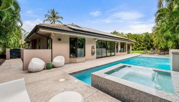 384  Pualoa Nani Pl Wailea, Wailea/Makena home - photo 3 of 50