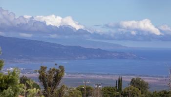 39  Ka Dr Kula Kai, Kula/Ulupalakua/Kanaio home - photo 3 of 38