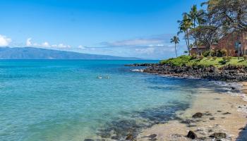 Hoyochi Nikko condo # 102, Lahaina, Hawaii - photo 5 of 22