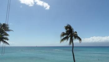 Hoyochi Nikko condo # 204, Lahaina, Hawaii - photo 2 of 21