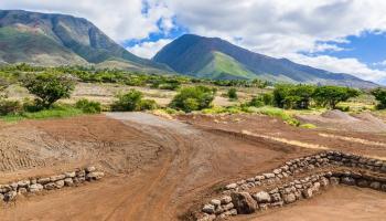 391  Haniu St Launiupoko, Lahaina home - photo 3 of 13
