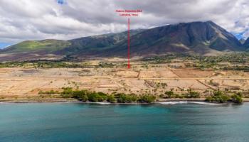 391  Haniu St Launiupoko, Lahaina home - photo 3 of 13