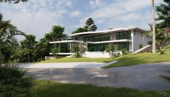 3919  Waakaula Pl Wailea, Wailea/Makena home - photo 5 of 44