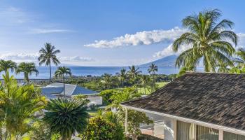3919  Waakaula Pl Wailea,  home - photo 1 of 35