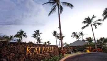Kai Malu condo # 52B, Kihei, Hawaii - photo 1 of 50