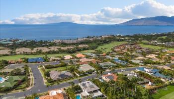 3933  Wailea Ekolu Pl , Wailea/Makena home - photo 2 of 50