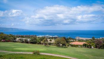 Wailea Fairway Villas condo # D-202, Kihei, Hawaii - photo 6 of 29