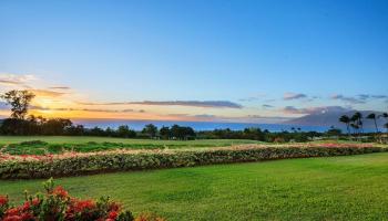 Wailea Fairway Villas condo # E102, Kihei, Hawaii - photo 4 of 29