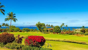Wailea Fairway Villas condo # R102, Kihei, Hawaii - photo 5 of 23