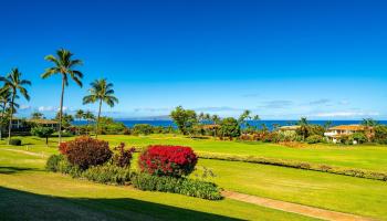 Wailea Fairway Villas condo # R102, Kihei, Hawaii - photo 6 of 23