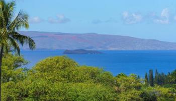 Wailea Fairway Villas condo # W201, Kihei, Hawaii - photo 1 of 50