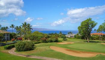Wailea Fairway Villas condo # W201, Kihei, Hawaii - photo 5 of 50
