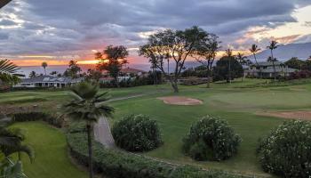 Wailea Fairway Villas condo # Y-202, Kihei, Hawaii - photo 6 of 44
