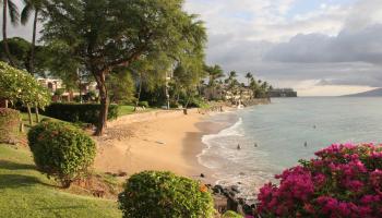 Kuleana II condo # 503, Lahaina, Hawaii - photo 3 of 47